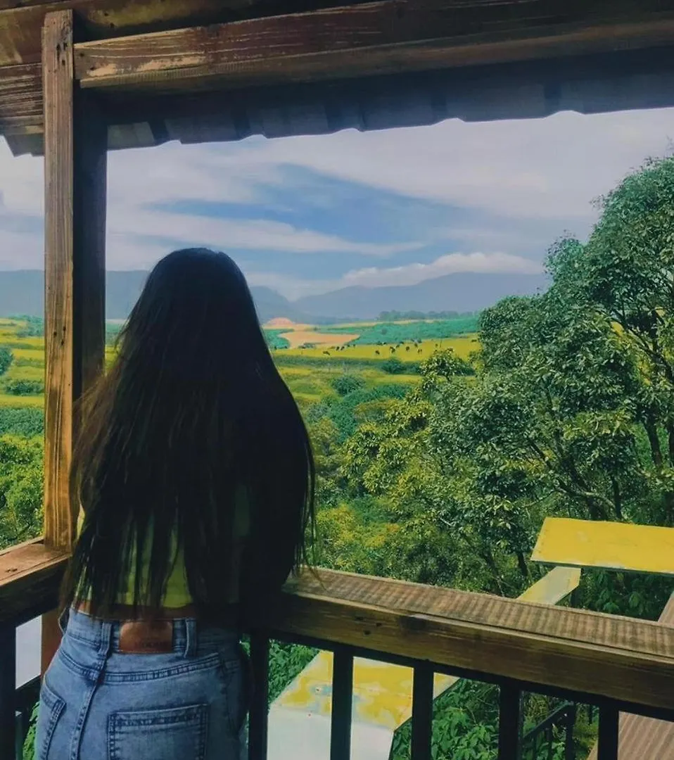 Hunters Wood Cabins Nuwara Eliya